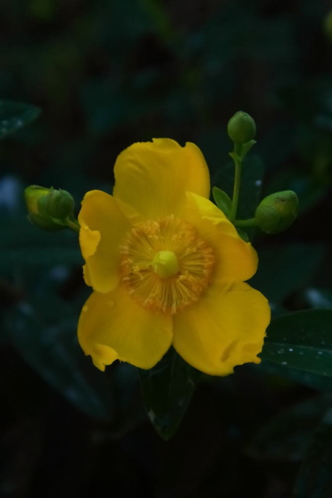 2012 06 07 5435